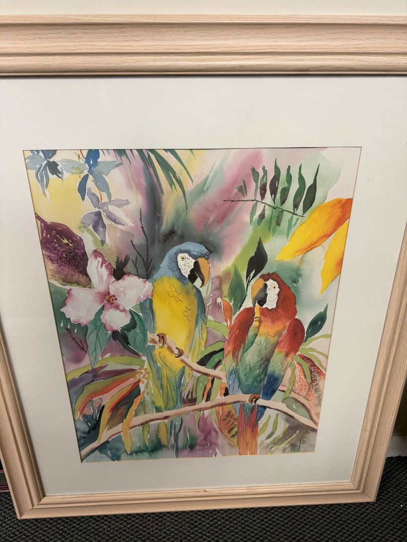 Parrot - Framed Picture
